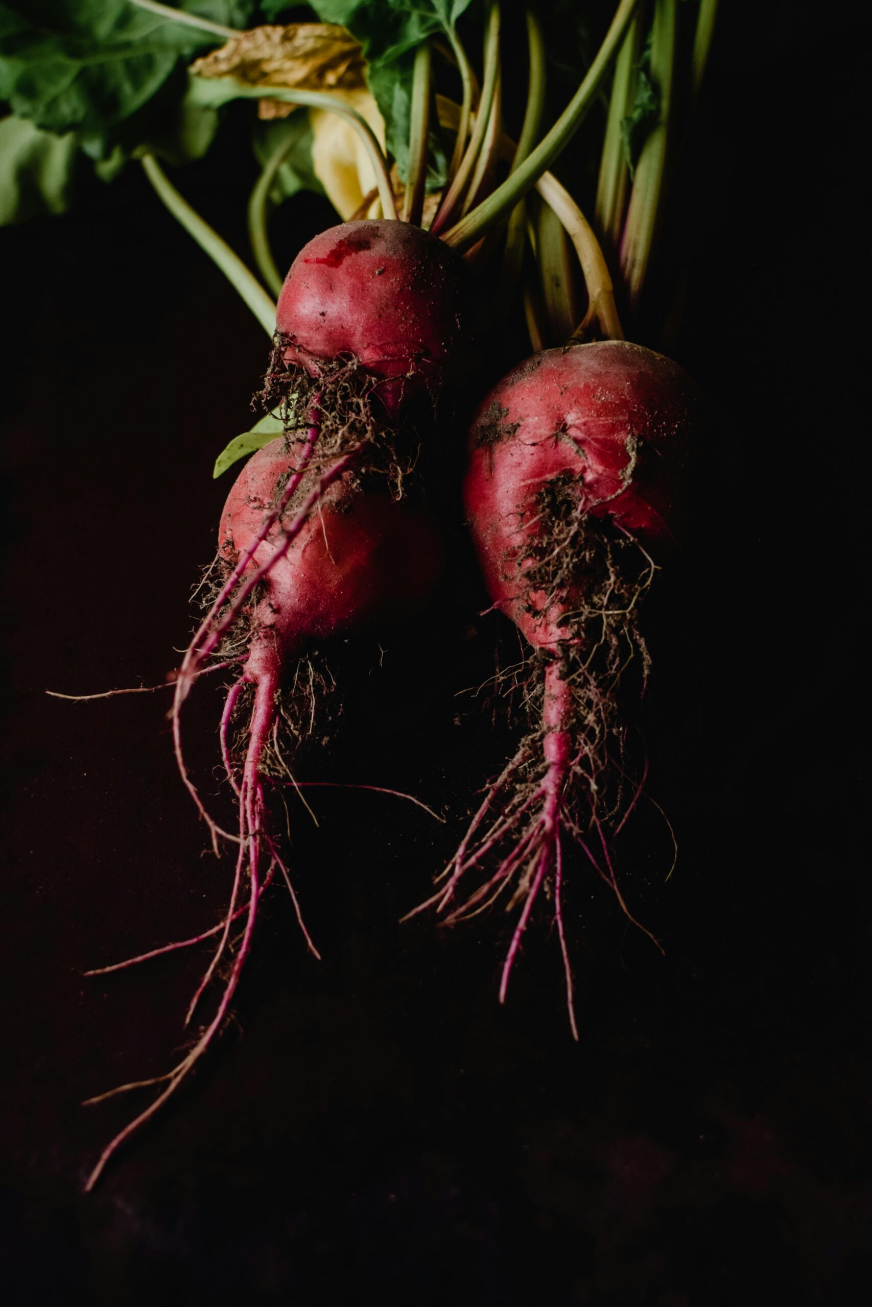 Beetroot natural nitrate source